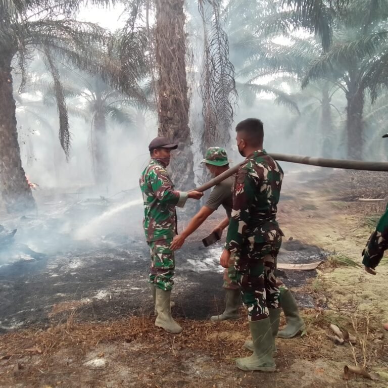 Koramil 1203-06/Manis Mata Laksanakan Penanganan Karhutla