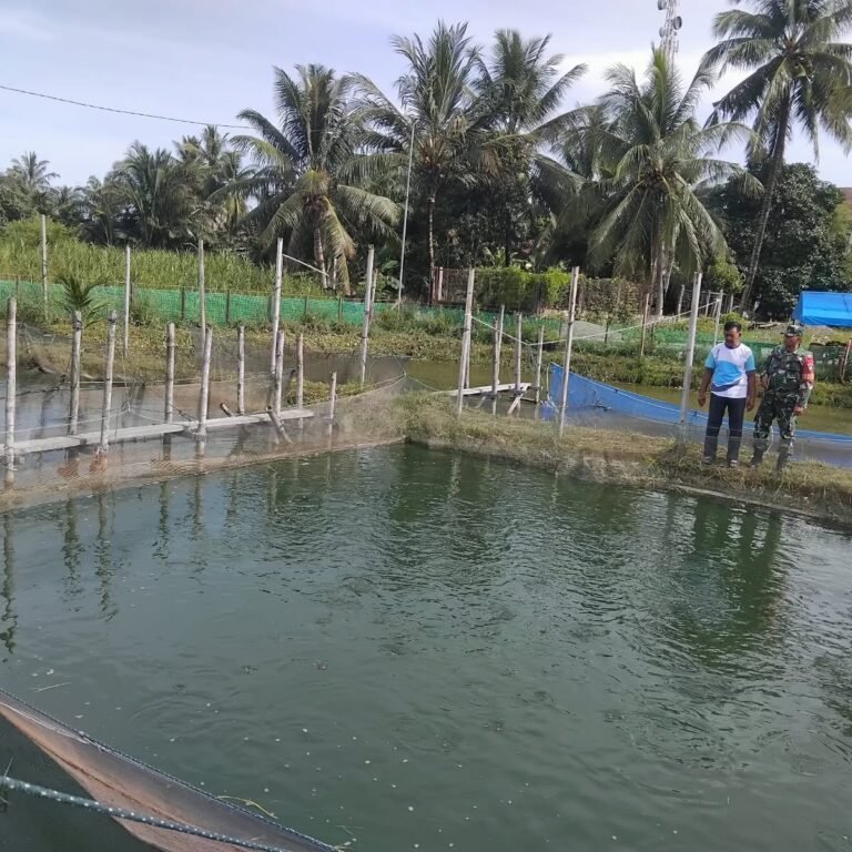Kodim 0114/Aceh Jaya Dukung Usaha Perikanan Warga melalui Pendampingan Babinsa
