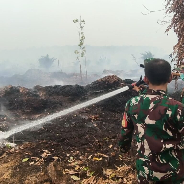 Berjibaku Siang dan Malam, Prajurit Kodim 1203/Ketapang Berupaya Padamkan Karhutla