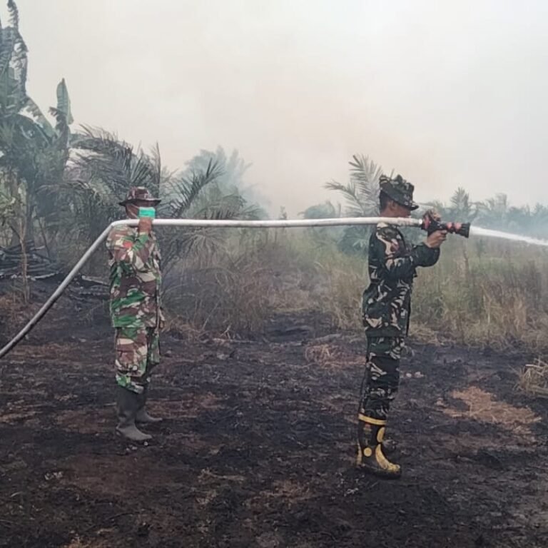 Koramil 1203-08/Pulau Maya Tangani Karhutla, Cegah Kebakaran Meluas