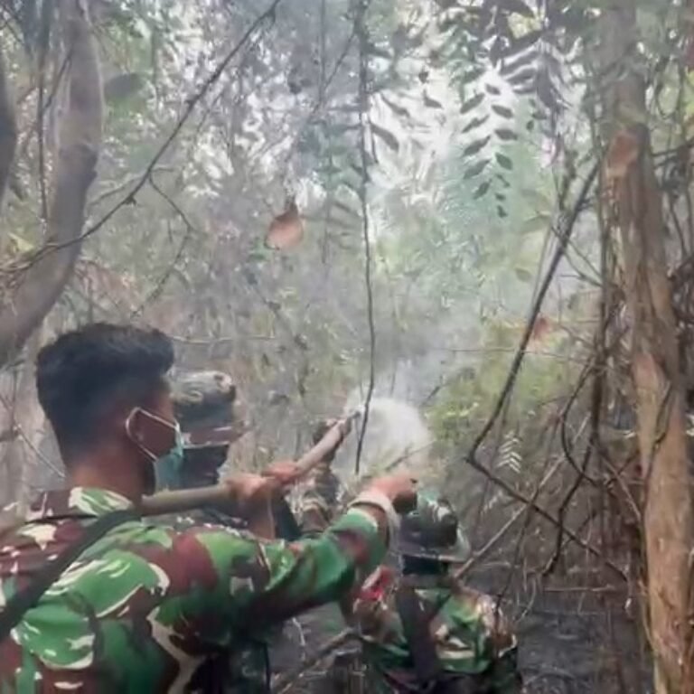 Jajaran Koramil Kodim 1203/Ketapang Terus Berupaya Tangani Karhutla