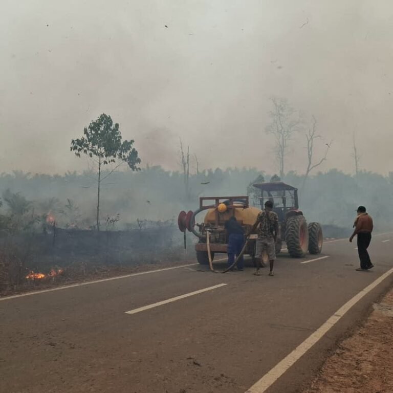 Kodim 1203/Ketapang Tangani Karhutla, Cegah Api Meluas ke Permukiman