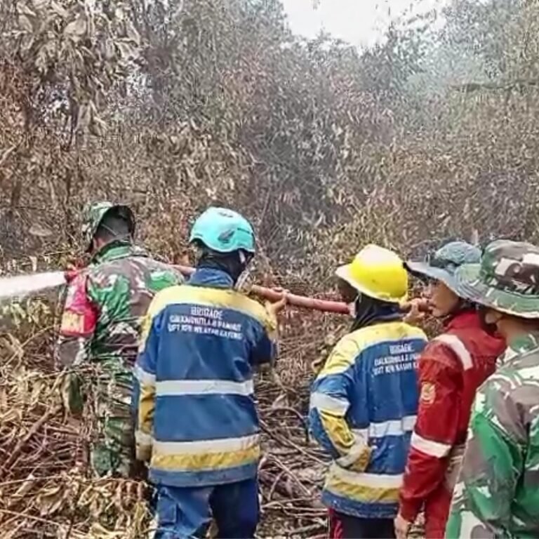 Kodim 1203/Ketapang Terus Lakukan Penanganan Karhutla