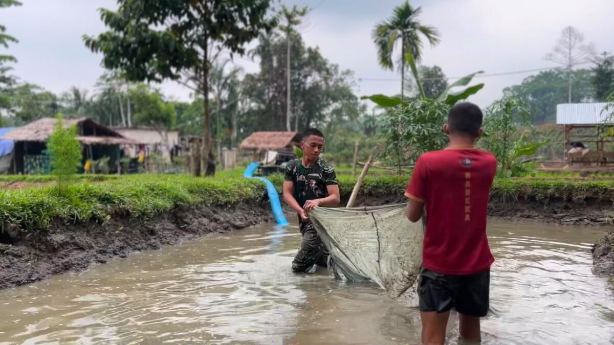 Budidaya Lele Jadi Sarana Yonif TP 859/RBK Bangun Produktivitas dan Kebersamaan