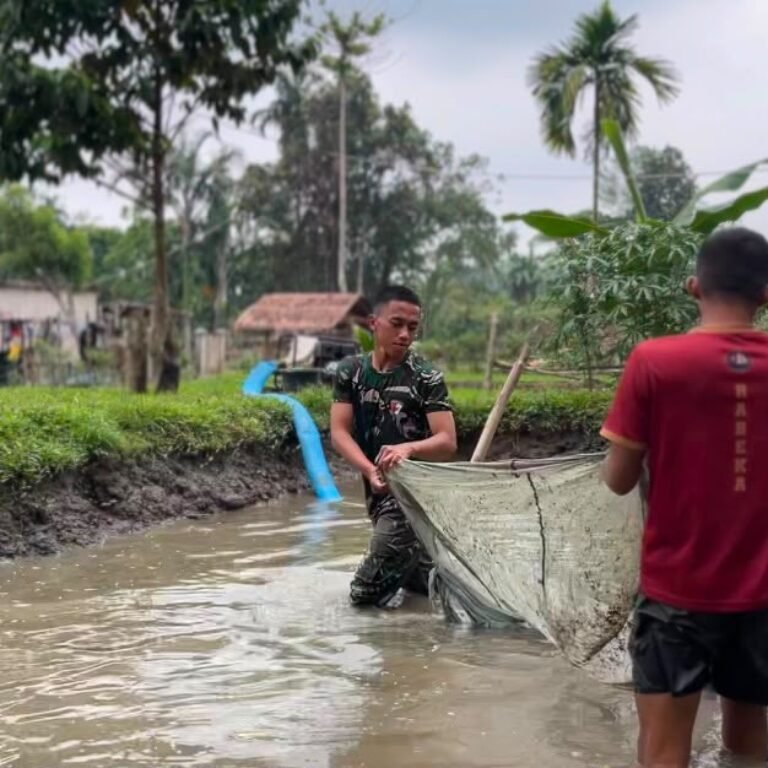 Budidaya Lele Jadi Sarana Yonif TP 859/RBK Bangun Produktivitas dan Kebersamaan