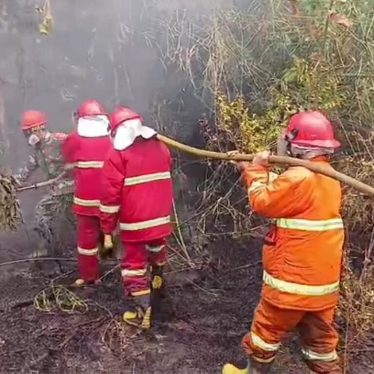 Kodim 1203/Ketapang Terus Lakukan Penanganan Karhutla untuk Melindungi Masyarakat