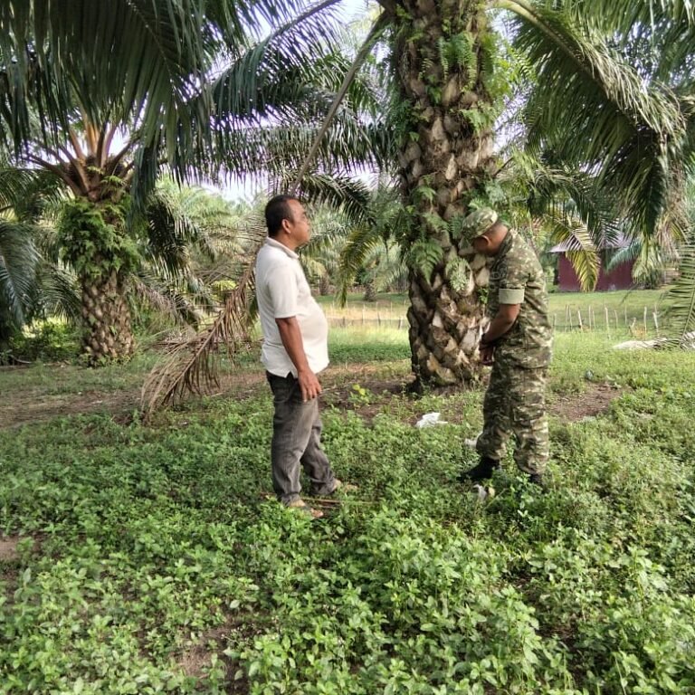Patroli Rawan Bencana di Panga Sasar Kebun dan Peternakan Kambing Warga Aceh Jaya