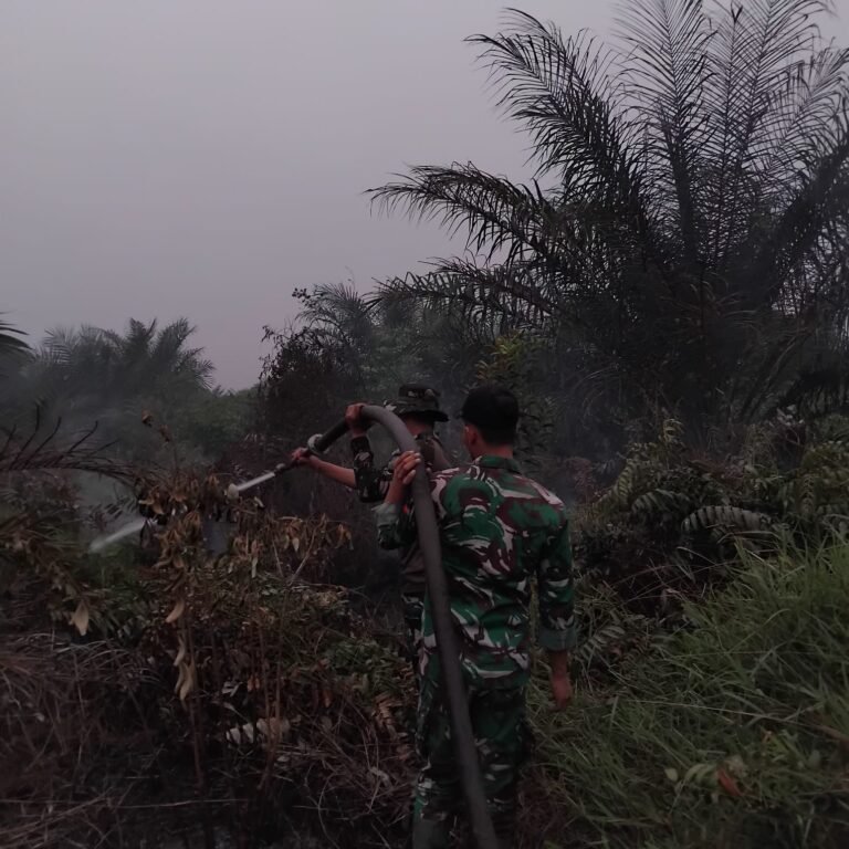 Berjibaku Siang dan Malam, Kodim 1203/Ketapang Bersama Unsur Terkait Terus Tangani Karhutla
