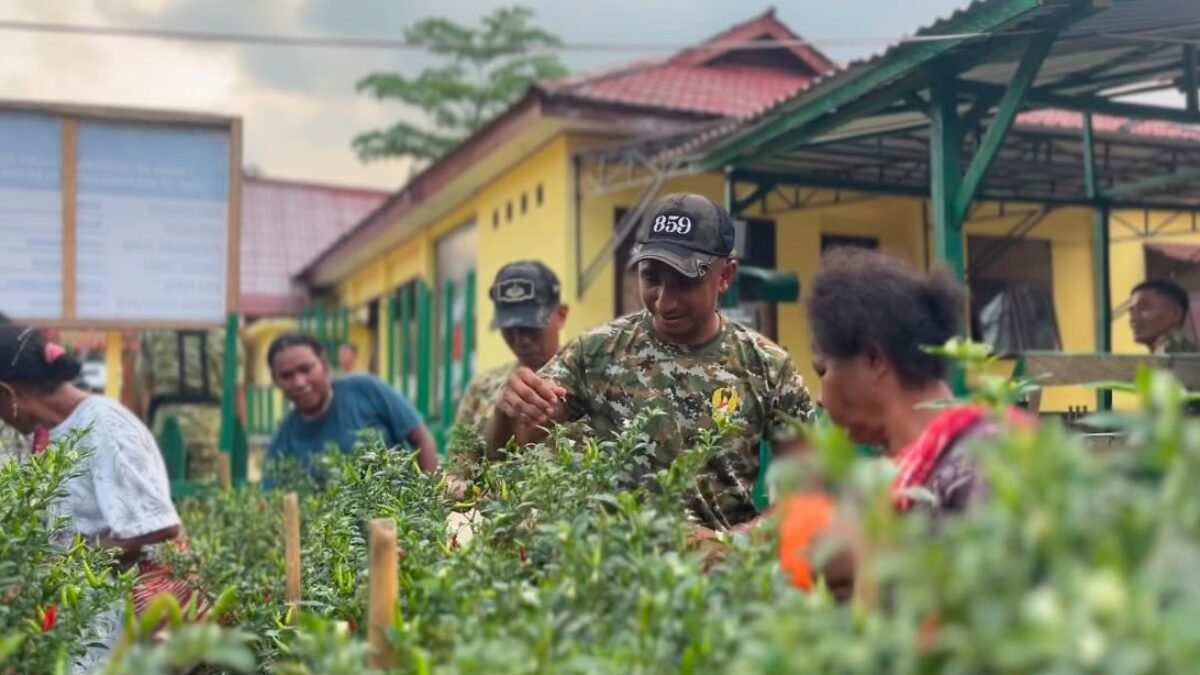 Panen Sayuran Jadi Bukti Kolaborasi Yonif TP 859/RBK dan Masyarakat Aminweri