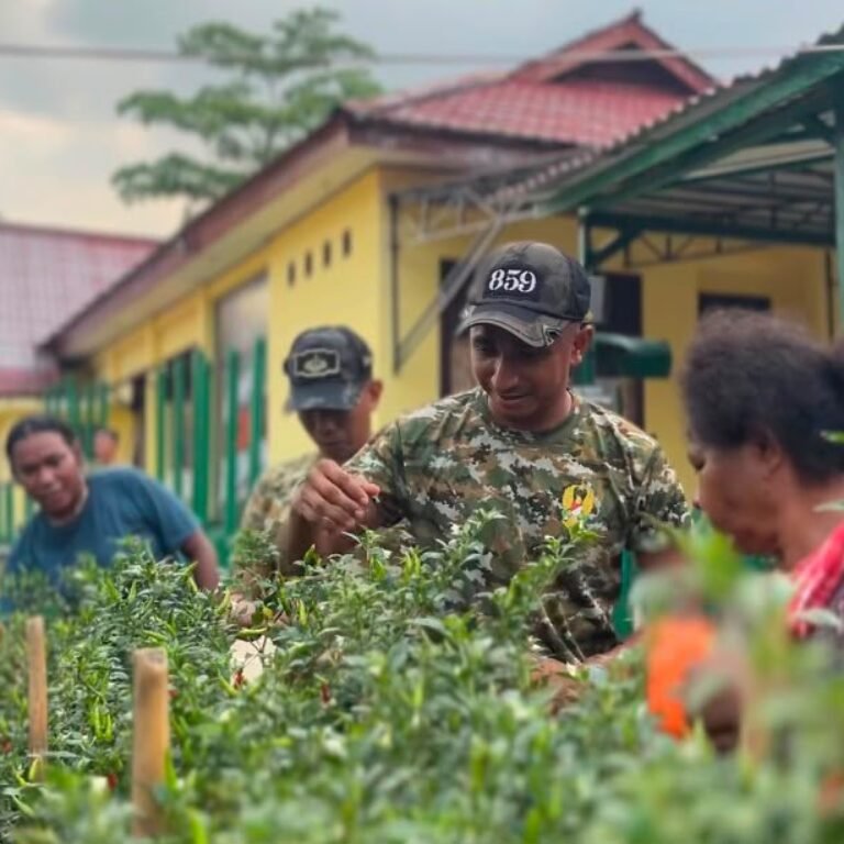 Panen Sayuran Jadi Bukti Kolaborasi Yonif TP 859/RBK dan Masyarakat Aminweri