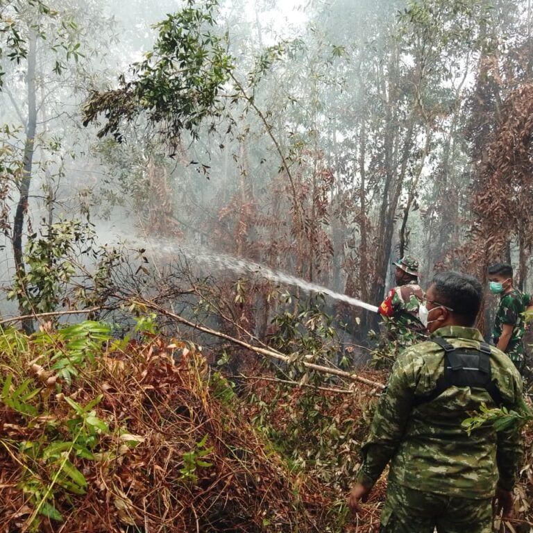‎Komitmen Tanpa Henti: Kodim Batola Tetap di Garis Depan Penanganan Karhutla‎