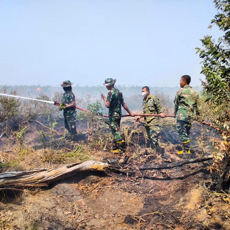 ‎Mobilisasi Cepat TNI & Unsur Gabungan, Berhasil Padamkan Karhutla 2 Hektar di Mandastana‑Jejangkit‎