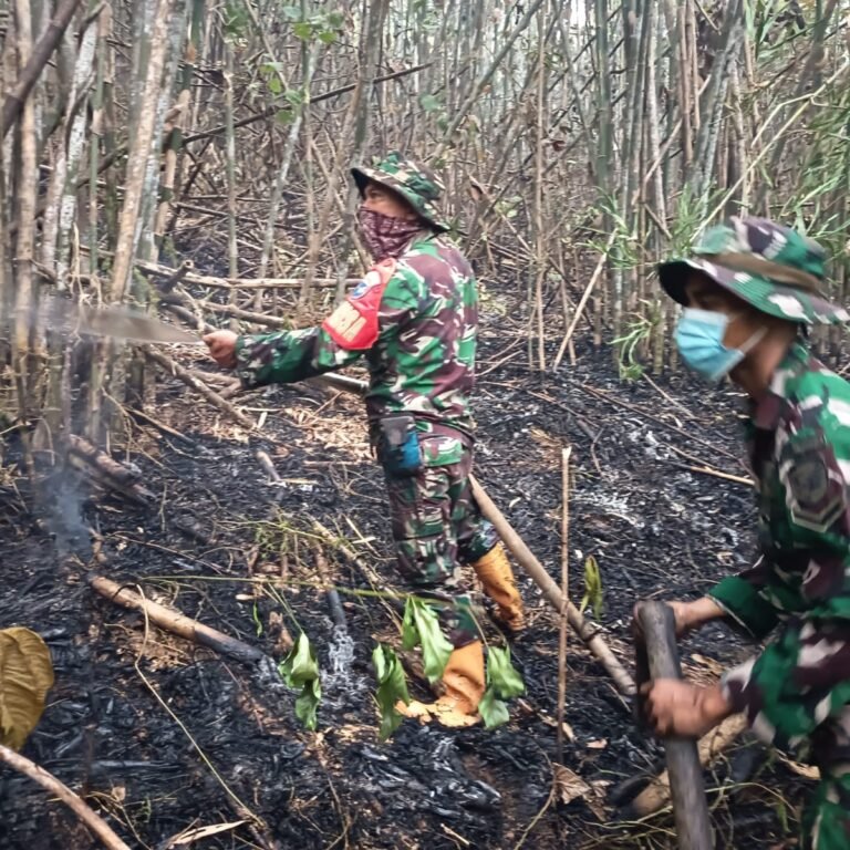 Cegah Api Meluas, Personel Kodim 1203/Ketapang Perkuat Penanganan Karhutla