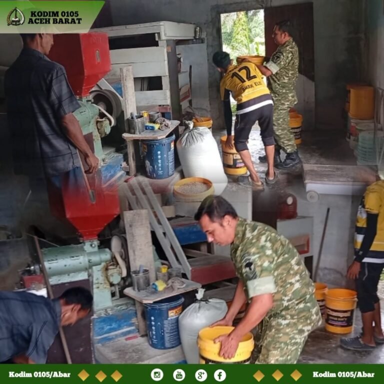 Babinsa Hadir di Tengah Petani, Perhatikan Hasil Panen hingga Harga Gabah
