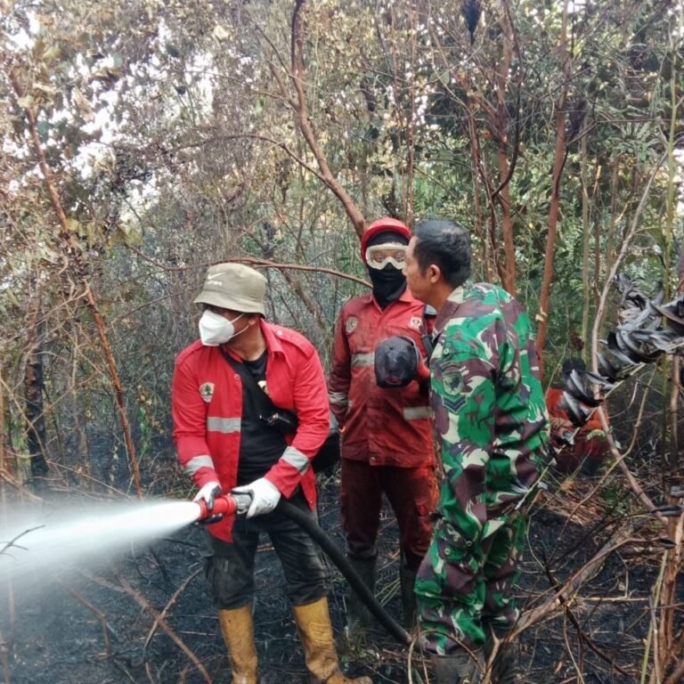 Penanganan Berkelanjutan Jadi Komitmen Kodim 1203/Ketapang Hadapi Ancaman Karhutla