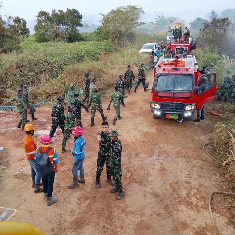4-5 Hektare Lahan di Desa Sekerat Terbakar, Babinsa dan Pasukan TNI Dikerahkan