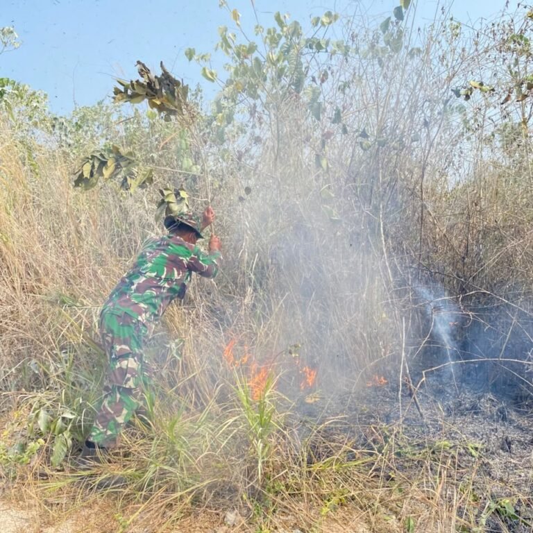 Lahan 12–15 Hektare Terbakar di Desa Sekerat, Tiga Titik Api Masih Ditangani