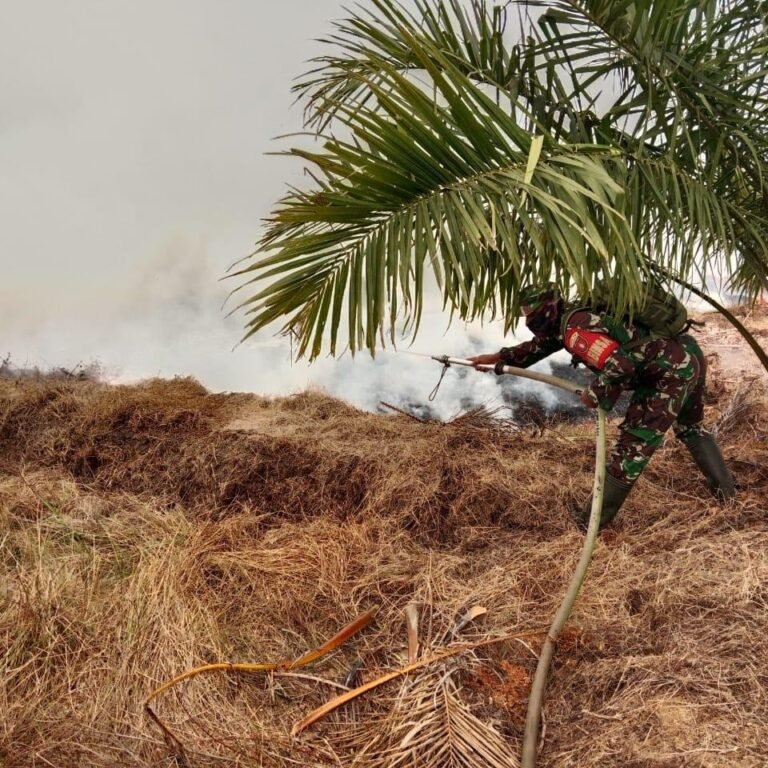 Damkar Kodim Dikerah Pada Karhutla 2,5 Ha di Desa Hiyung Tapin