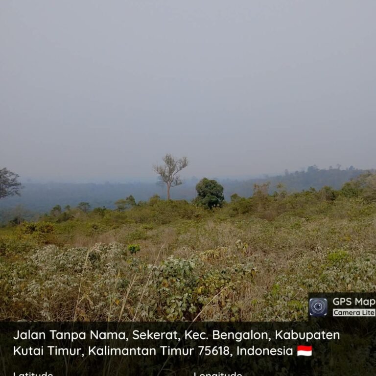 Koramil 0909-06/Bengalon Pantau Lahan Eks Karhutla di RT 17