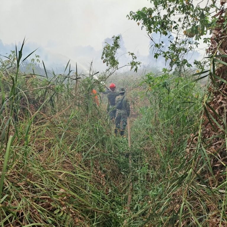 Personel Damkar Kodim Tapin Bantu Padamkan Karhutla di Sungai Rutas Hulu