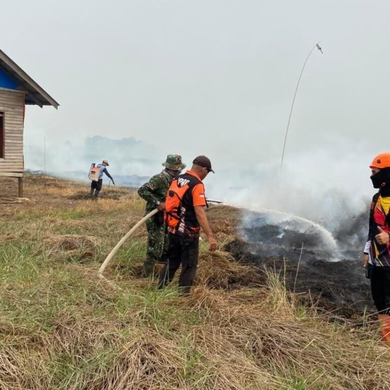Babinsa Bersinergi dengan BPBD dan Relawan Padamkan Karhutla di Tapin