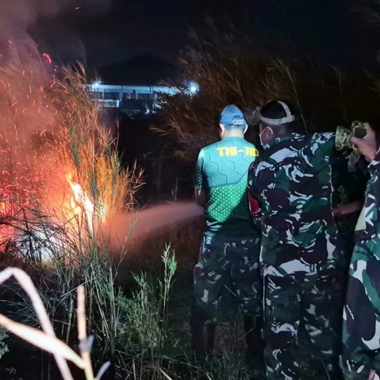 Pemadaman Kilat di Merauke: Babinsa dan Damkar Kodim Atasi Kebakaran Lahan