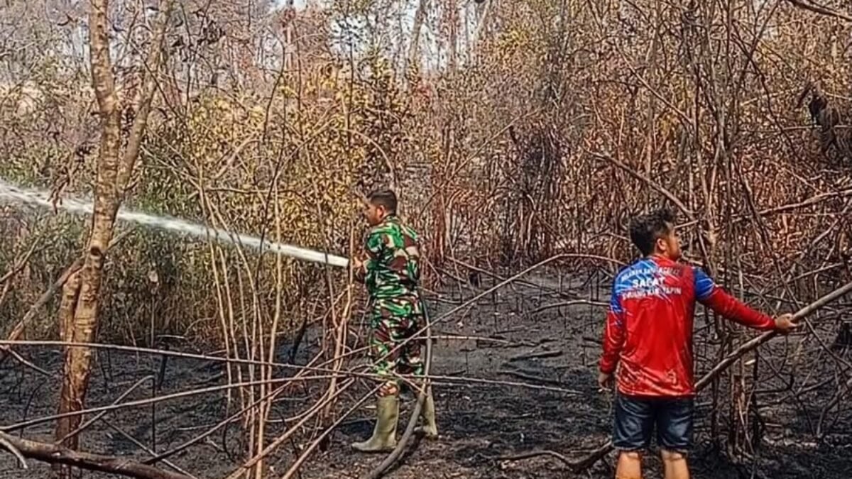 Tim Gabungan dan Babinsa Kodim 1010/Tapin Padamkan Karhutla di Dua Titik