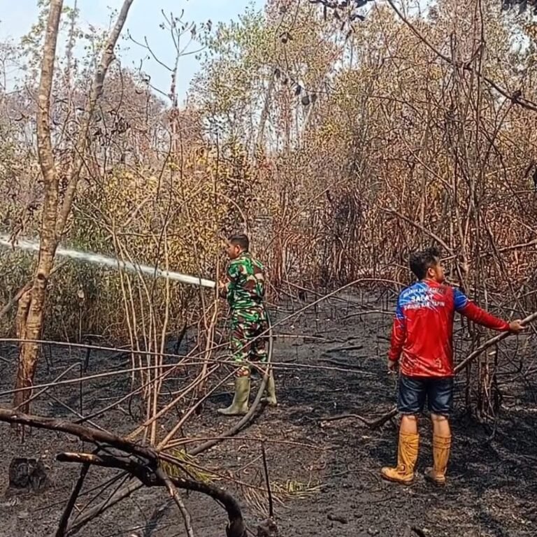 Tim Gabungan dan Babinsa Kodim 1010/Tapin Padamkan Karhutla di Dua Titik