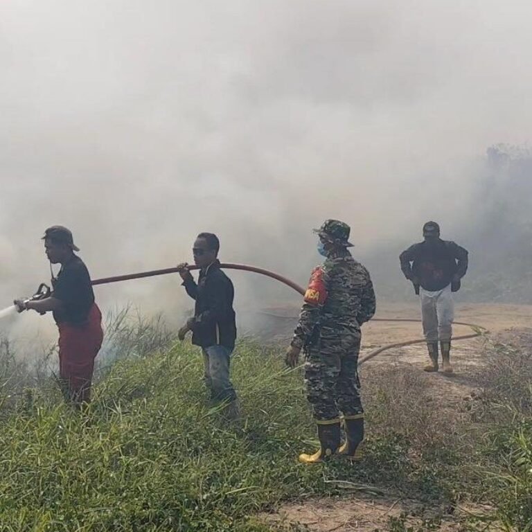 Tiga Hektare Lahan Terbakar di Sangatta Selatan, Api Berhasil Dipadamkan