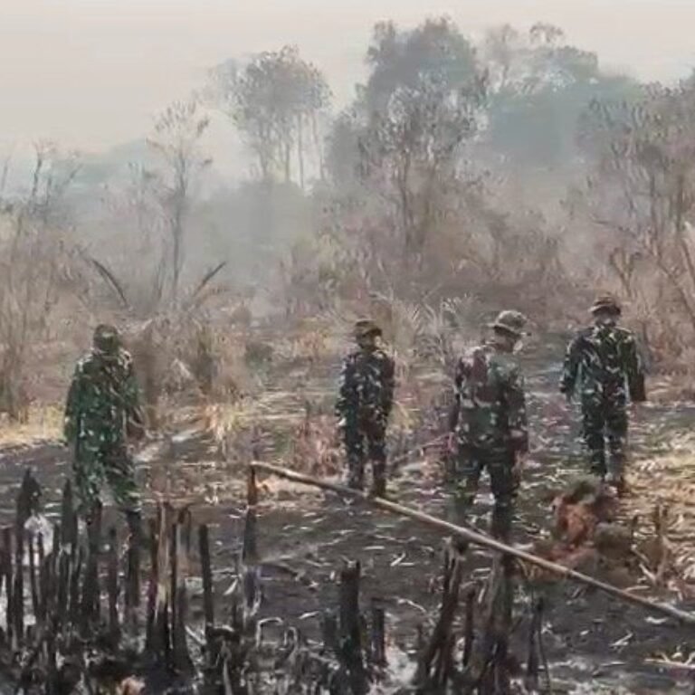 Cegah Karhutla, Personel Koramil Kodim 1203/Ketapang Lakukan Pemantauan dan Sosialisasi