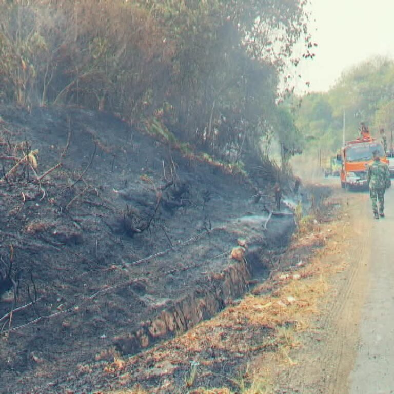 Api Hanguskan 2 Hektare di Muara Bengalon, Saksi: Terpantau Siang Hari