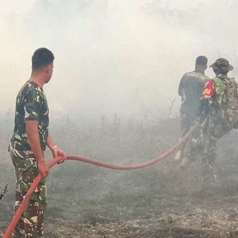Respons Cepat Gabungan TNI dan Warga Padamkan Karhutla di Kampung Marga Mulya