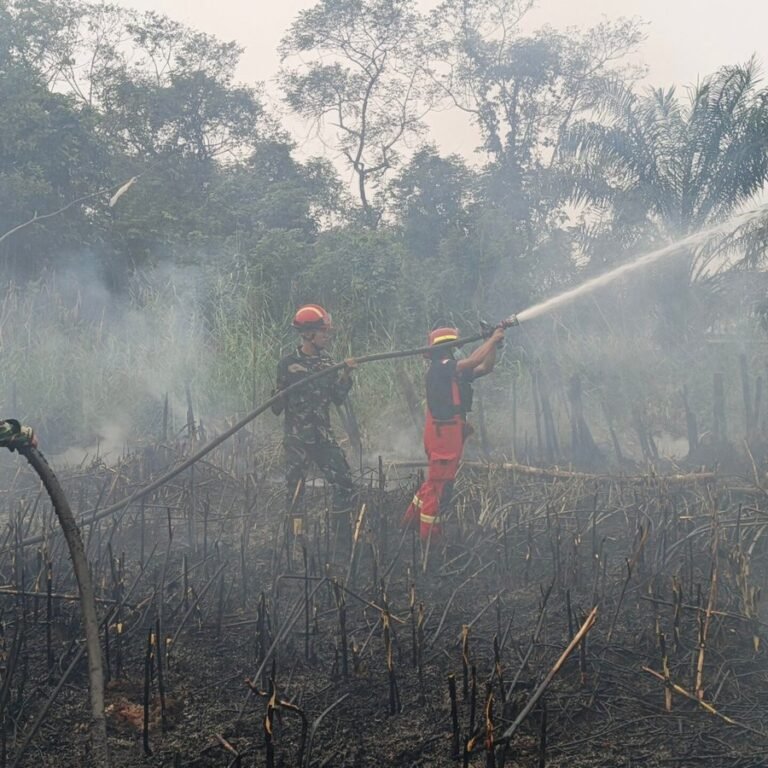 Babinsa dan Tim Gabungan Kendalikan Karhutla 1 Hektare di Bengalon