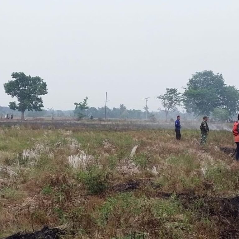 Bakarangan Dilanda Karhutla 1,5 Hektare, Kodim 1010/Tapin Turut Dukung Pemadaman