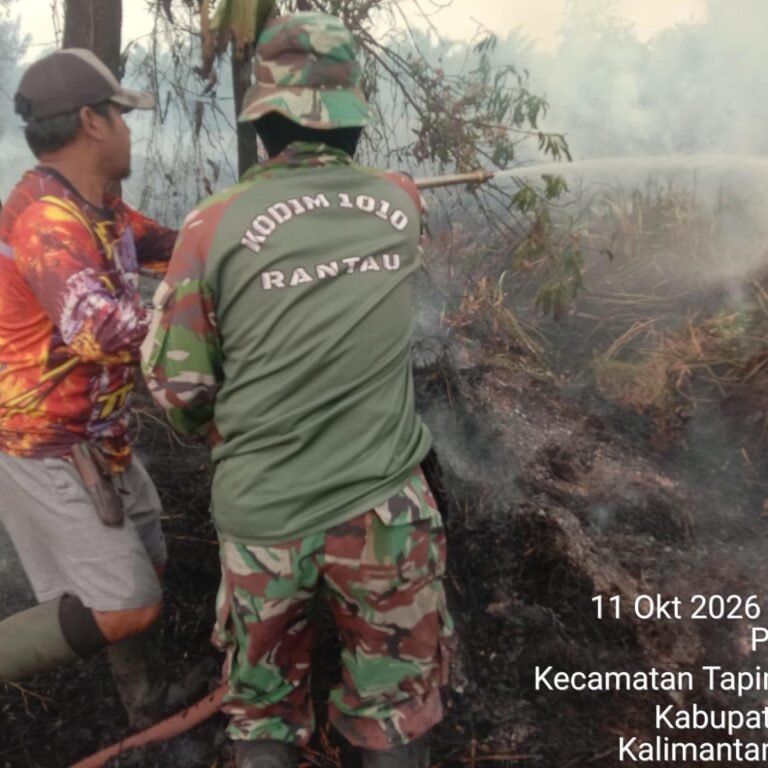 Damkar dan Koramil Padamkan Kebakaran di Semak Desa Pandahan, Luas Terbakar Sekitar 1 Ha