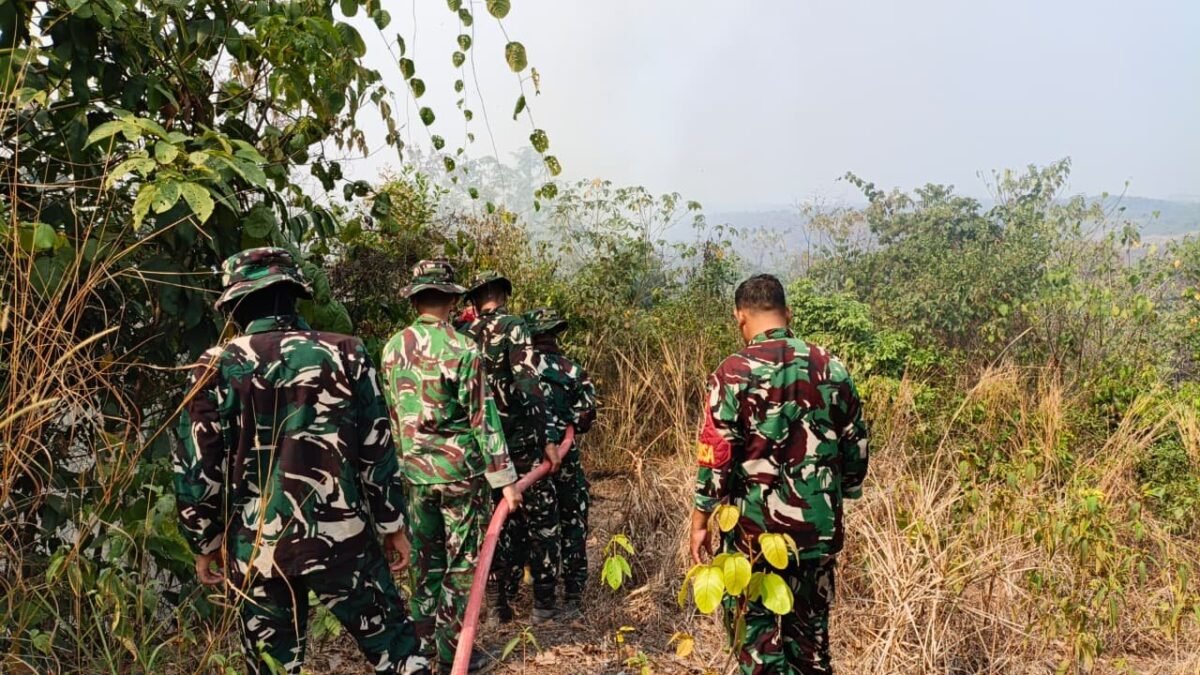 Petugas Gabungan Padamkan Kebakaran 2 Hektare di Muara Bengalon