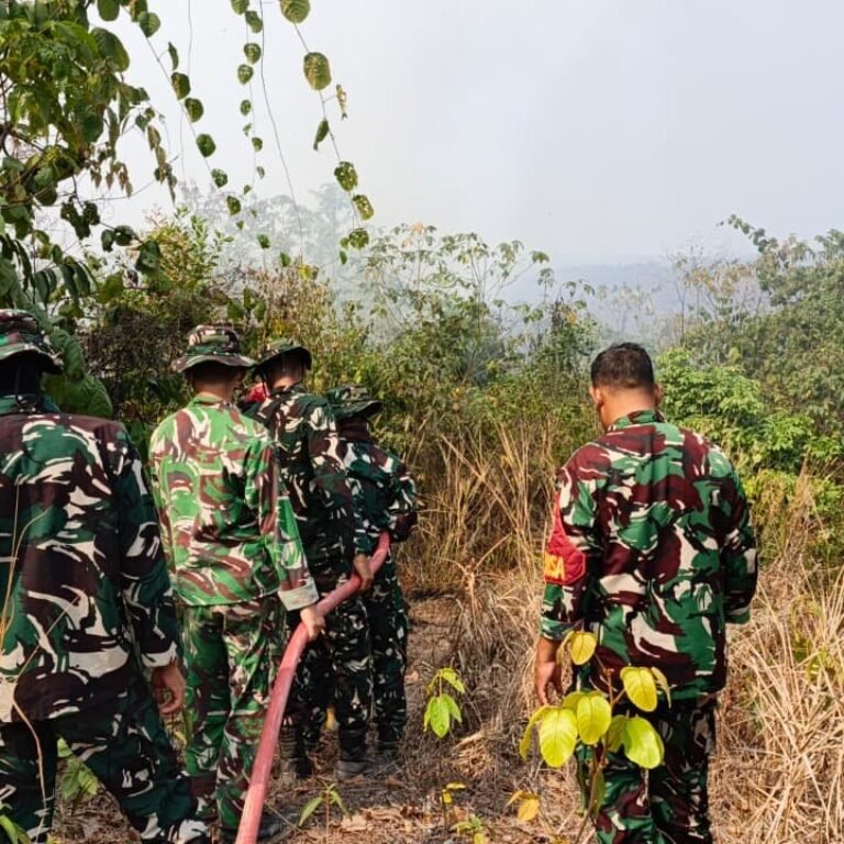 Petugas Gabungan Padamkan Kebakaran 2 Hektare di Muara Bengalon